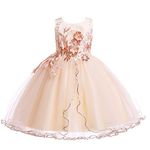 Weileenice Vintage Kids Big/Little Girl Princess Lace Dress Light Gold Junior Holiday Banquet Wedding Bridesmaid Gown Girls Flower Birthday Pageant Party Tutu Embroidery Halloween Dresses 7 8 Dance