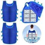 2 Pcs Cooling Vest with 48 Pcs Ice Packs Adjustable Ice Vest for Men Women Hot Weather Working Running Cooking Fishing Cycling Gardening Motorcycle