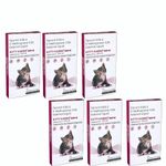 Medilogy Kitty Karno's Flea and Tick Control: Powerful Cat Flea Killer - Effective Cat Flea Prevention Medicine for Kittens and Cats (8 Weeks Onwards) | Pack of 6(.5ml per Pack)