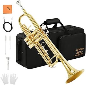 Eastar Bb Standard Trumpet Set for Beginner, Brass Student Trumpet Instrument with Hard Case, Cleaning Kit, 7C Mouthpiece and Gloves, ETR-380, Golden