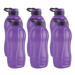 oliveware Jumbo 2 Litre Water Bottle, 100% Leak Proof, BPA Free Premium Plastic Bottle, for Home, Office & Gym, Sturdy with Holder, Pack of 6 (Voilet)