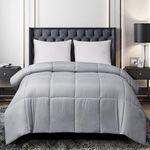 Blue Ridge Home Fashions Comforter Breathable Microfiber Duvet Insert, Summer Cooling Winter Warm Reversible Down Alternative Quilt Comforter for All Season, King, Platinum