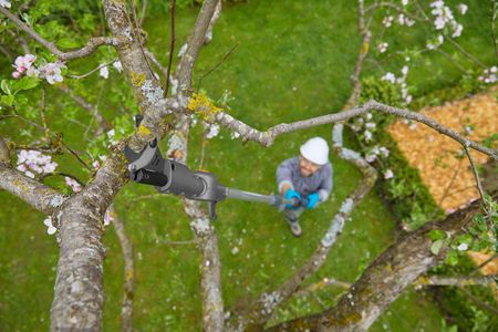 Gardena Cordless Telescopic Tree Pruner – Adjustable Pole Saw