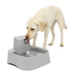 PetSafe Drinkwell 2 Gallon Dog and Cat Water Fountain, Best for Large Dog Breeds and Multiple Pet Households, Easy-to-Clean Design, Filters Included