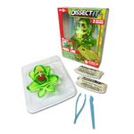 Top Secret Toys Dissect It: Frog Lab - STEM Toy - Synthetic Dissection Kit - Realistic and Safe, Kid Friendly!, Green