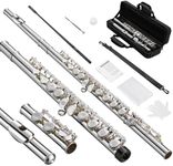 POGOLAB Flute, 16 Keys Open-Hole C 