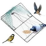 Bird Trap Outdoor Hunting Trap Bird