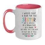 Sister Gift from Sister Funny Sister Gift,Sister Mug,Sister Birthday Gift Idea from Sister Brother I Would Fight a Bear for You Coffee Mug for Sister's Birthday Christmas Gifts Coffee Mugs …