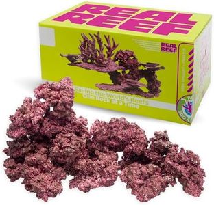 Real Reef 