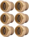 SharkBite 1 Inch Push Cap, Pack of 