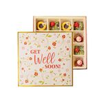 Superfood Parfait Collection - Get Well Soon Box Square (16 Pcs) - Laumière Gourmet Fruits - Healthy, Natural Gourmet Vegan Snacks Variety Pack - Dried Fruit Snack Gifts for Women & Men