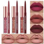 6Pcs Matte Liquid Lipstick Lip Liner Set Velvety Nude Lipstick Stay On 24 Hours Waterproof Non-Stick Cup Not Fade Liquid Lipstick Lipliner Make Up Gift Set (Set D)