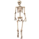 Halloween Decoration Skeleton Poseable Decoration Life Size 165cm Party Prop Graveyard Bones, White