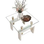 GOLDFAN Glass Side Table Living Room,2-Tier Small Morden End Table with Storage Function for Bedroom Small Space,Square Sofa Side Table with Stainless Steel Pillar,Clear&Black (White