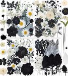 140PCS Black White Dried Pressed Flowers with Butterfly Stickers - YouthBro Real Nature Flowers Set for Craft Resin DIY Jewelry Candle Soap Vase Making Nail Card Scrapbook Art Craft Floral Decors