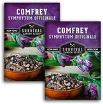 Survival Garden Seeds Comfrey Seed for Planting - 2 Packets with Instructions to Plant and Grow Slippery Root Plants in Your Home Herb Garden - Symphytum officinale - Non-GMO Heirloom Seed Variety