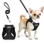 rabbitgoo Dog Harness Small Breed and Leash, Step in Soft Light Puppy Vest, Breathable Mesh No Pull Pet Harness, Reflective for Safe Easy Walking, Black XXS
