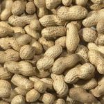 Trusty® Pet Supplies Wild Bird Peanuts in Shells Monkey Nuts 2kg