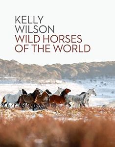 Wild Horse