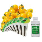 9-Pod : AeroGarden Golden Harvest Cherry Tomato Seed Pod Kit (9-Pod)