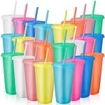 Plastic Tumblers with Lids and Straws, 24 Pcs Reusable Cups with Lids Plastic Colorful Cups for Parties Birthdays, Iced Coffee Cup Travel Mug Cold Drink Cups Bulk Tumblers (24 oz, Light Colors)