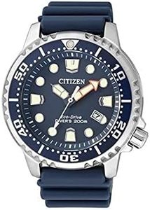 Citizen Ho
