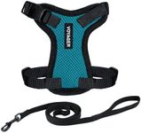 Voyager Step-in Lock Adjustable Cat Harness w. Cat Leash Combo Set with Neoprene Handle 5ft - Supports Small, Medium and Large Breed Cats by Best Pet Supplies - Turquoise/Black Trim, S