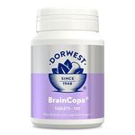 Brain Supplement For Dogs