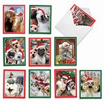 M2373XSGsl Holiday Animal Selfie: 10 Assorted Christmas Note Cards Featuring Sweet and Funny Animals Capturing Christmas Selfies of Themselves and Their Animal Friends, w/White Envelopes. by The Best Card Company