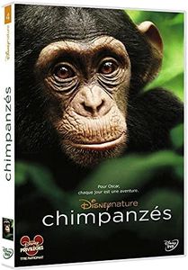 Chimpanzés