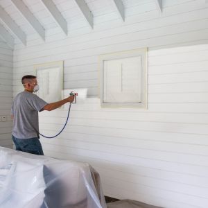 Magnum by Graco A20 PLUS Airless Paint Sprayer – 220-240V, 0.9L/min, 207 Bar