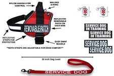 Doggie Stylz Official Service Dog in Training Vest Harness Bundle Kit. Includes Set of Service Dog + Service Dog in Training Removable Reflective Patches + 30 inch Lead + 2 ID Dog Tags