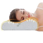 Ecosafeter 2024 New Upgrade Memory Foam Pillow- Cervical Orthopedic Deep Sleep Neck Pillow, Prime Supportive Washable Hypoallergenic Pillow