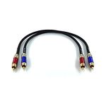 WJSTN-020 RCA to RCA Audio Cable, Male to Male RCA Stereo Audio Coaxial Digital Cable, Digital Stereo Audio Cable for subwoofer, Home Theater, high-Fidelity Audio-Double Shielding-2 Pack (1FT)