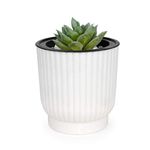 T4U 4.5 Inch Plastic Self Watering Planter, Long Term Water Storage Plant Pot/Macaron-Colored Flower Pots Outdoor Indoor Yard Garden Home Decoration, Medium Size - Set of 6,White