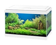 Ciano Aqua 20 Aquarium with LED Lights & Filter WHITE