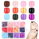 Tyqour 288pcs False Toe Nails, 12 Colors Press On Nails for Toes, Short Square Press On Toes, 10 Nail Adhesive Tabs and 1 Nail Files Press On Toenails for Women Girls Nail Art Diy