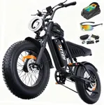 DTTZH F6 1500W Adult Electric Bike,