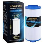 POOLPURE Spa Filter Replaces PGS25P4, Unicel 4CH-24, Filbur FC-0131, 20254-238, SD-00004, CH25, PAS-1217, 12519, Gatsby 25, 25 sqft Filter Cartridge, 1 Pack