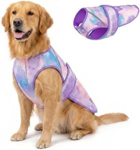 KYEESE Dog