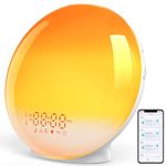 Sunrise Alarm Clock for Heavy Sleepers, Smart Wake Up Light with Sunrise/Sunset Simulation, App Controlled, Natural Sounds & FM Radio, 7 Alarms & Snooze, 11 Colors Night Light for Bedroom