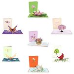 Lovepop Garden 7-Pack, 5 X 7, Assorted Bulk Cards, 3D Greeting Cards, Paper Flower Card, All Occasion Bulk Pack