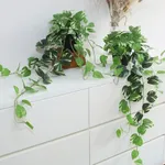 alyptus Fake Pothos Hanging Plants