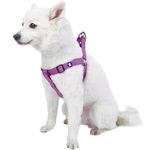 Blueberry Pet Step-in Classic Dog Harness, Chest Girth 20" - 26", Violet, Medium, Adjustable Harnesses for Dogs