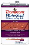 THOMPSONS WATERSEAL 043831-16 Sequoia Solid Stain
