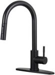 HOTTIST Black Kitchen Faucet with P