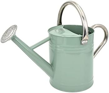 Lechloris Metal Watering Can for Outdoor Plants, Galvanized Steel Watering Can with Removable spout, 1 Gallon,Perfect Home & Garden Décor Cream Green