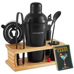 Mixology & Craft Cocktail Shaker Set - Premium 9-Piece Cocktail Kit Includes Martini Shaker, Jigger, Strainer for Bartending - Home Bar Accessories and Recipe Cards (Silver)