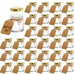 Kingrol 60 Pack 1.5 oz Glass Jars with Lids, Mini Honey Jars, Mason Jars with Personalized Label Tags and String for Spices, Herbs, Jams, Crafts, Wedding Party Favors, Decor