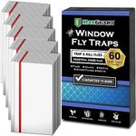 MaxGuard Window Fly Traps (60 XL Tr